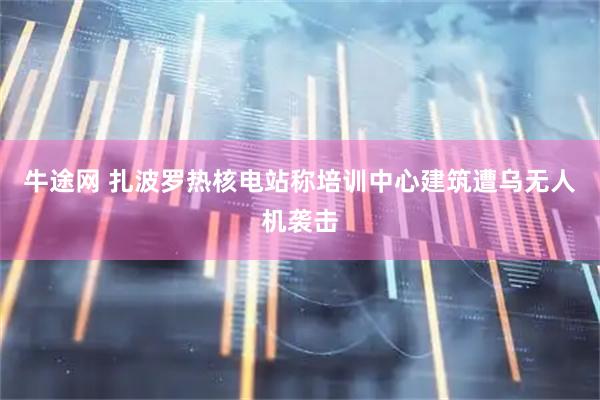 牛途网 扎波罗热核电站称培训中心建筑遭乌无人机袭击