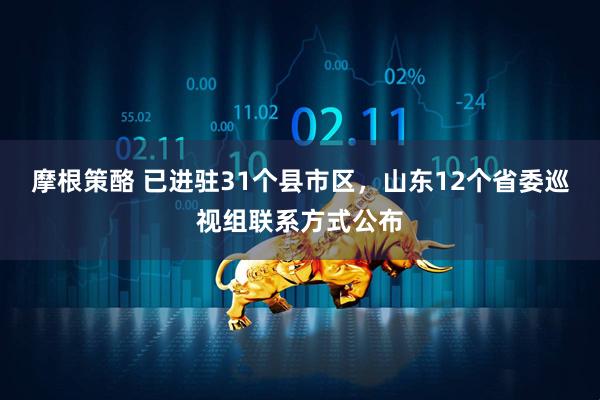 摩根策酪 已进驻31个县市区，山东12个省委巡视组联系方式公布
