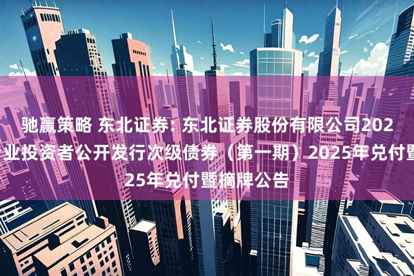 驰赢策略 东北证券: 东北证券股份有限公司2022年面向专业投资者公开发行次级债券（第一期）2025年兑付暨摘牌公告