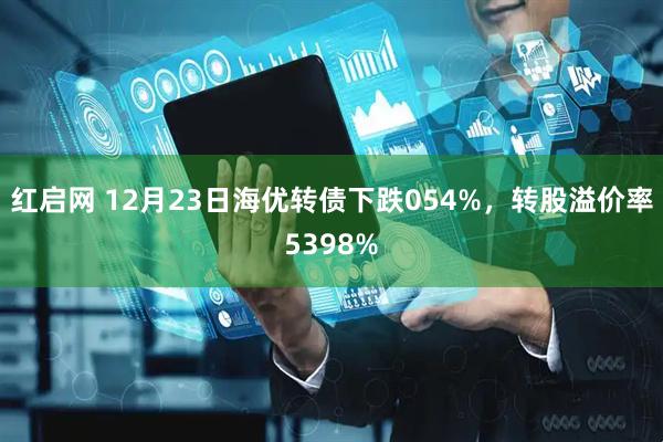 红启网 12月23日海优转债下跌054%，转股溢价率5398%