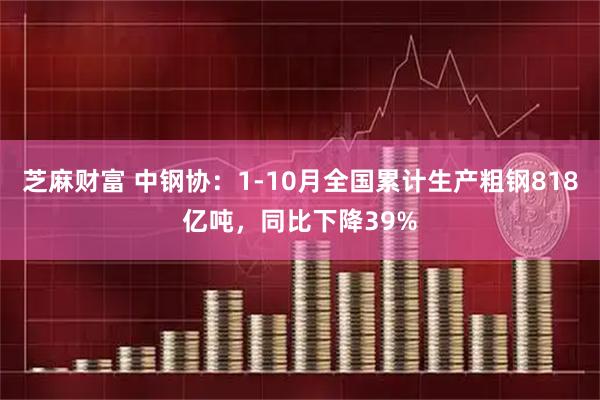 芝麻财富 中钢协：1-10月全国累计生产粗钢818亿吨，同比下降39%