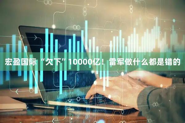 宏盈国际 “欠下”10000亿！雷军做什么都是错的